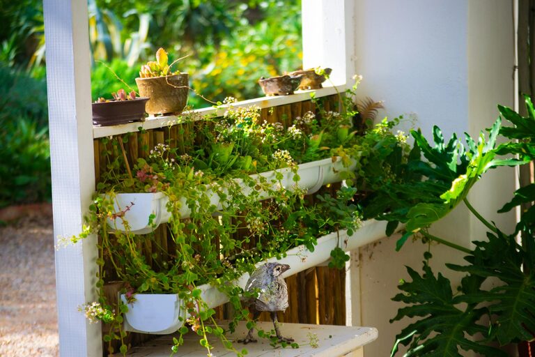 Tips for Creating a Sustainable and Enjoyable Home Garden Year-Round